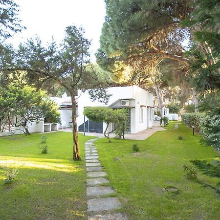 Villa Eucalipto ヴァッレドーリア エクステリア 写真