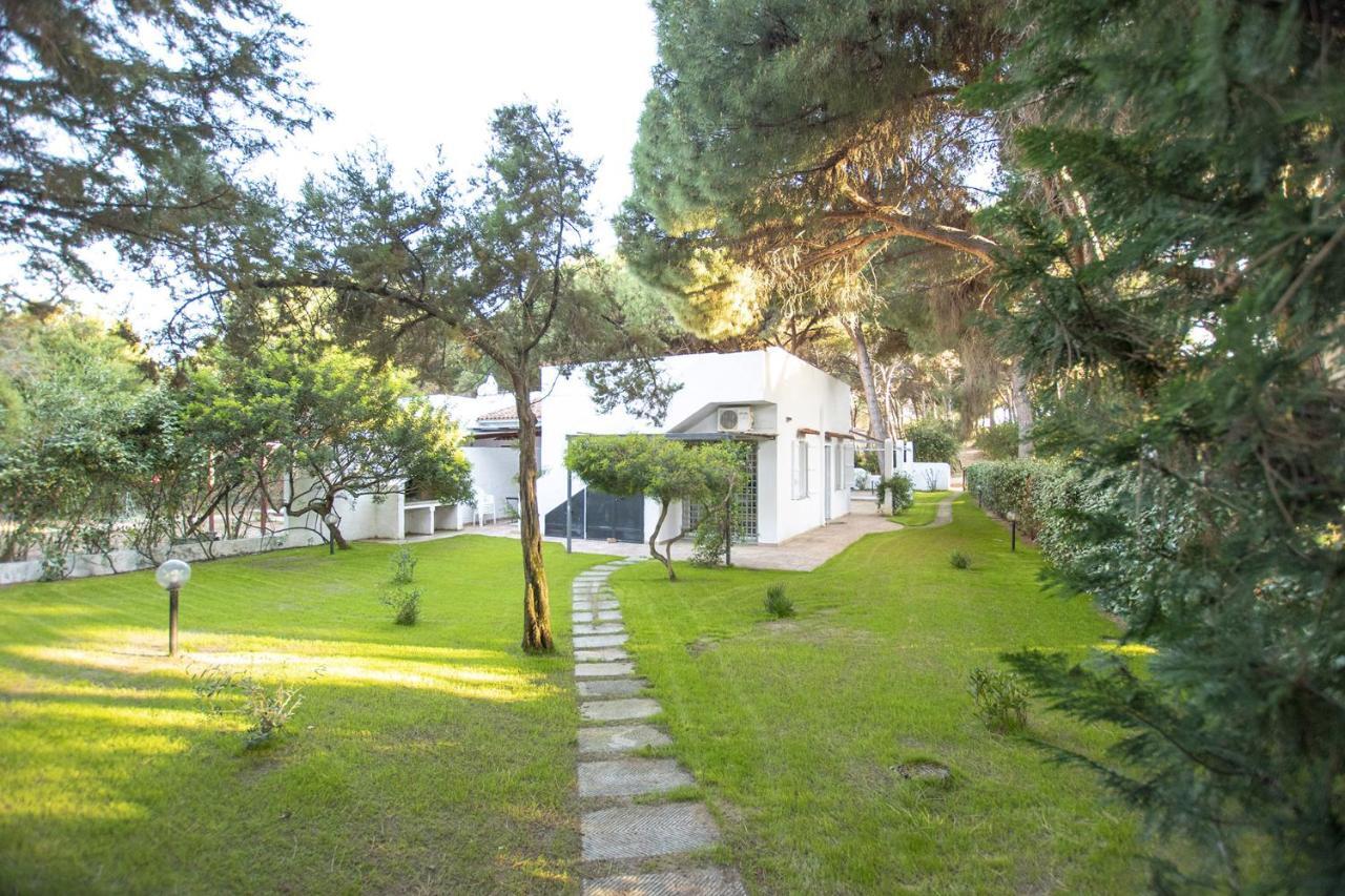 Villa Eucalipto ヴァッレドーリア エクステリア 写真
